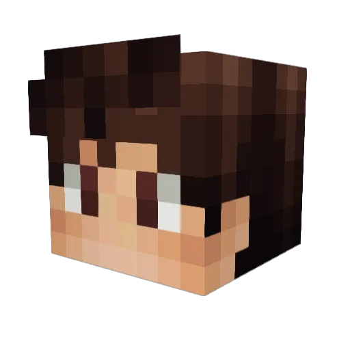 Sammelkatze Minecraft avatar head, 3D render