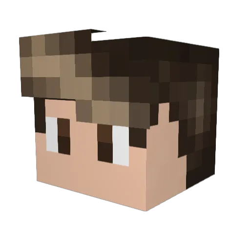 Sammerson Minecraft avatar head, 3D render