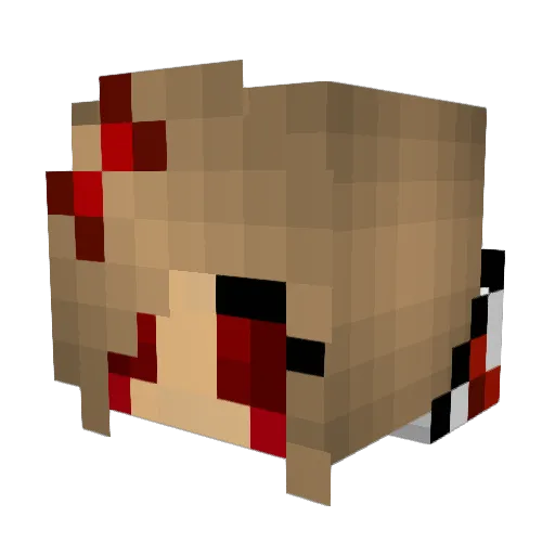 Sammi049 Minecraft avatar head, 3D render