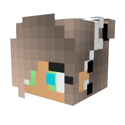 Sammi18905 Minecraft avatar head, 3D render