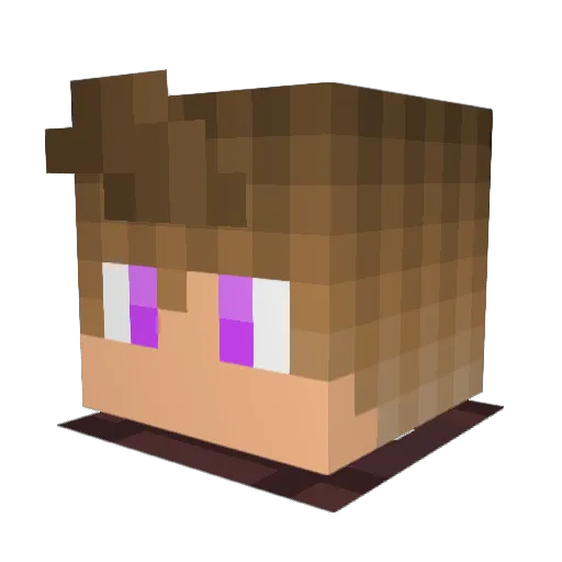 SammichGuardian Minecraft avatar head, 3D render