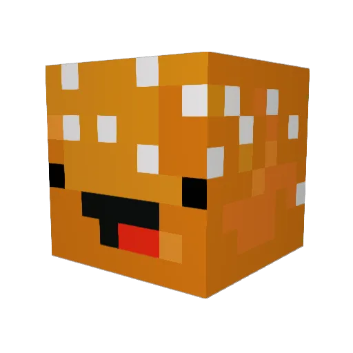 Sammichlover702 Minecraft avatar head, 3D render