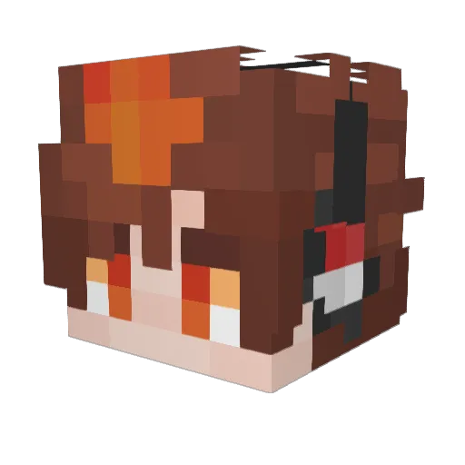 SammieDawg121 Minecraft avatar head, 3D render