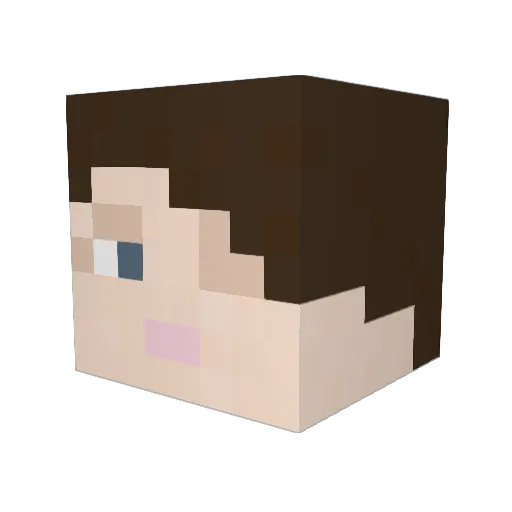 Sammmaries Minecraft avatar head, 3D render