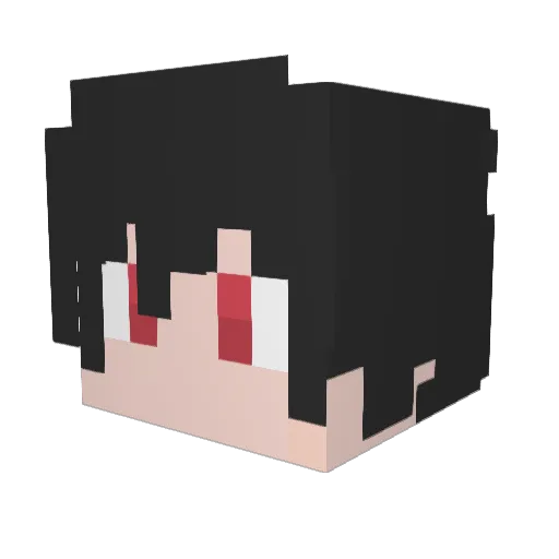 Sammmm523 Minecraft avatar head, 3D render