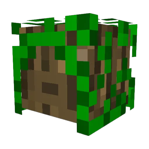 Sammmmmiches Minecraft avatar head, 3D render