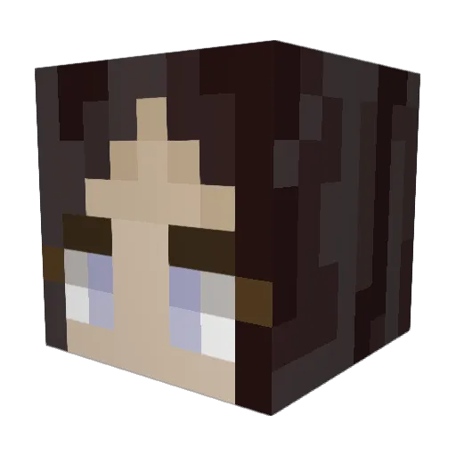 Sammmmmy69 Minecraft avatar head, 3D render