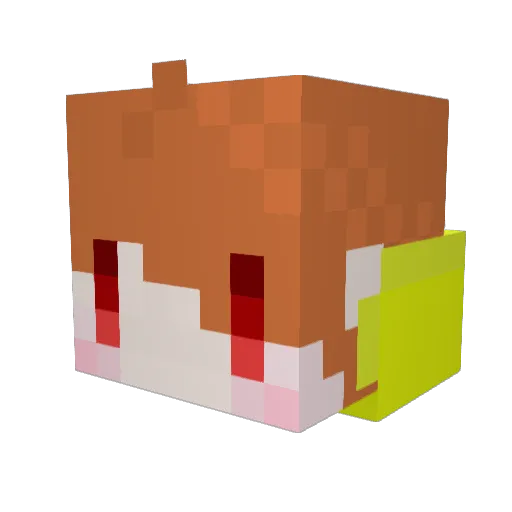 Sammonn Minecraft avatar head, 3D render