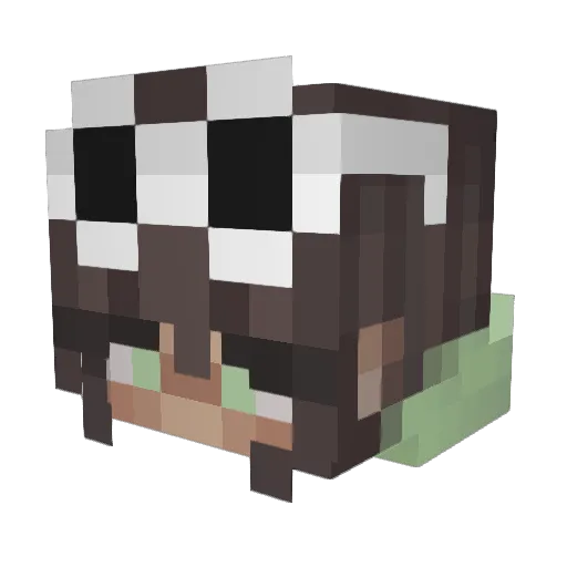 Sammoses Minecraft avatar head, 3D render