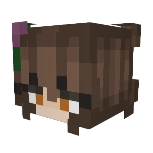 Sammy1093 Minecraft avatar head, 3D render