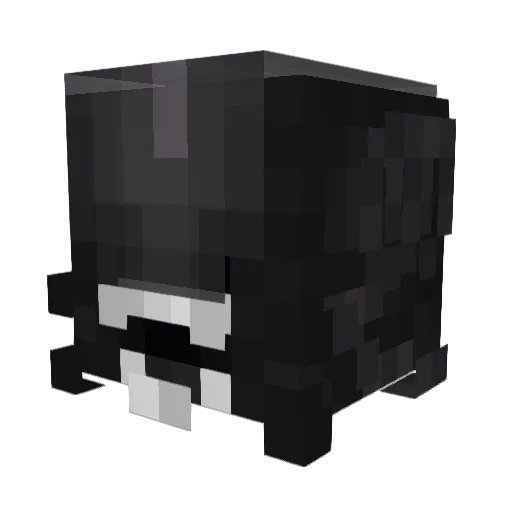 Sammy2131 Minecraft avatar head, 3D render