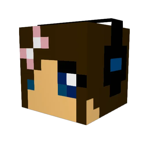 Sammy980 Minecraft avatar head, 3D render
