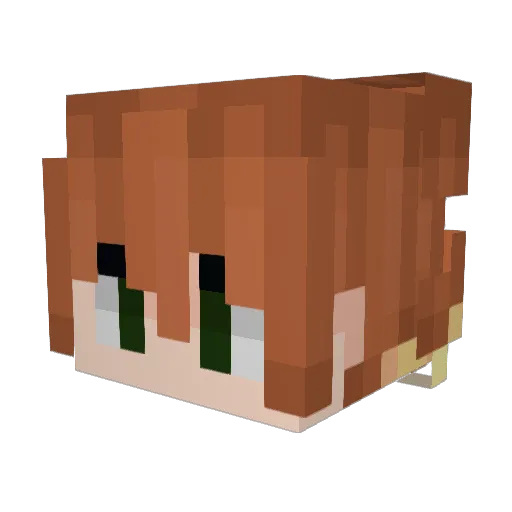 SammyBoy_136 Minecraft avatar head, 3D render