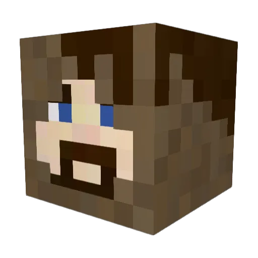 SammyCally Minecraft avatar head, 3D render