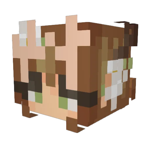 SammyChan14 Minecraft avatar head, 3D render