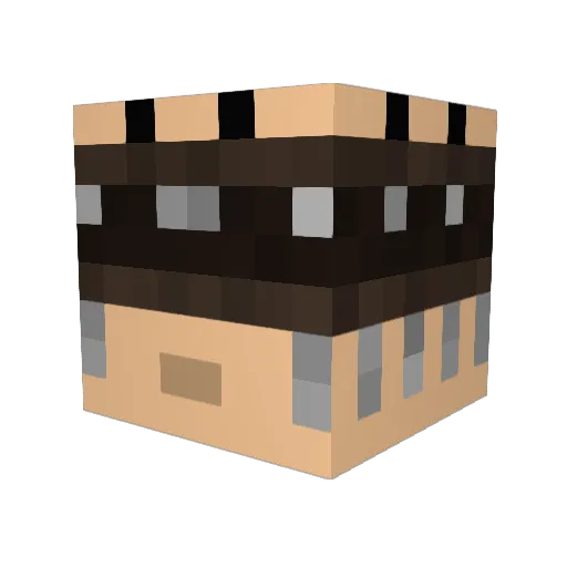 SammyCraft Minecraft avatar head, 3D render