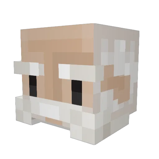 SammyDaTranni Minecraft avatar head, 3D render