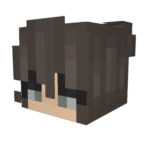 SammyE2014 Minecraft avatar head, 3D render