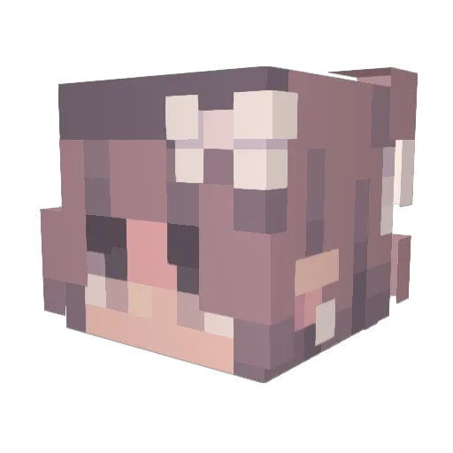 SammyEnte Minecraft avatar head, 3D render