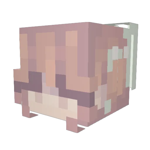 SammyFinn Minecraft avatar head, 3D render