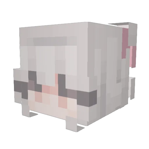 SammyInside Minecraft avatar head, 3D render