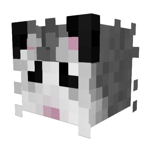 SammySalami04 Minecraft avatar head, 3D render