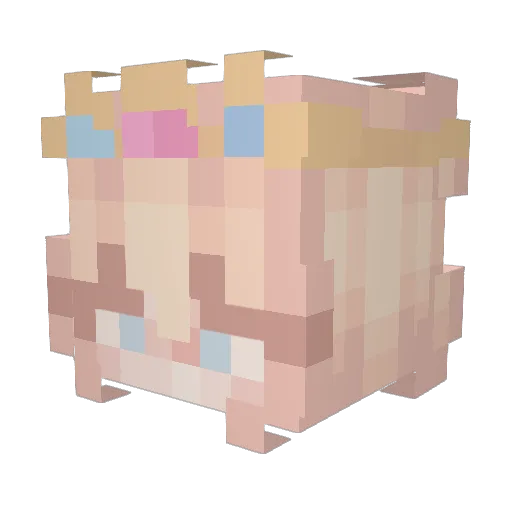SammySosa123 Minecraft avatar head, 3D render