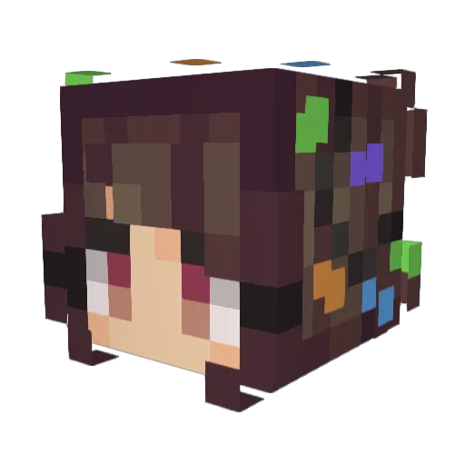 SammySpammy11 Minecraft avatar head, 3D render