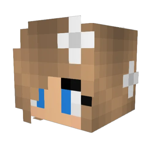 SammySuperS Minecraft avatar head, 3D render