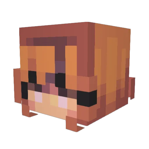 SammyTehSum Minecraft avatar head, 3D render