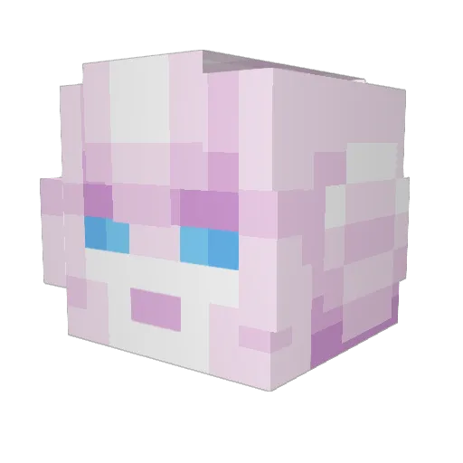 SammyTheSpammy Minecraft avatar head, 3D render