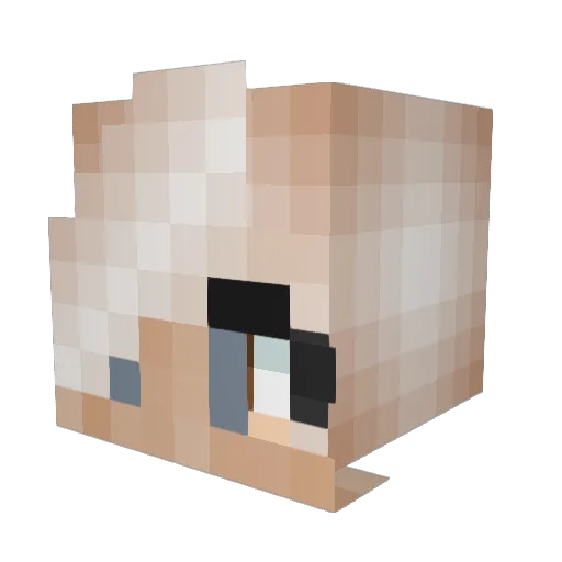 Sammy_Phantom Minecraft avatar head, 3D render