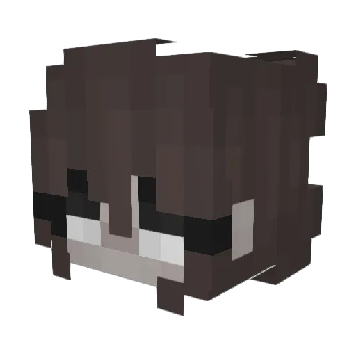 Sammy_Somers Minecraft avatar head, 3D render