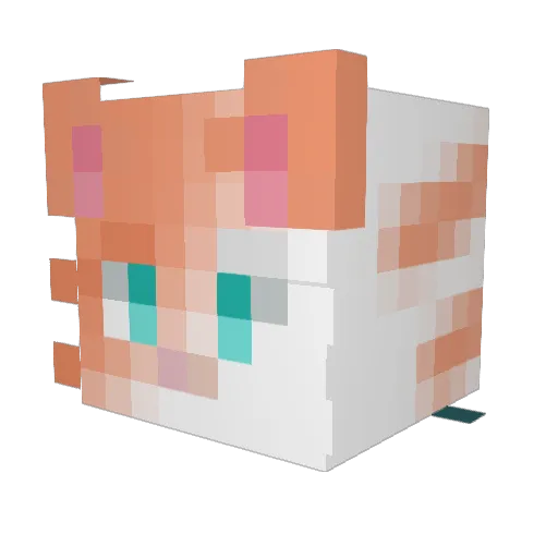 Sammy_Wammy09 Minecraft avatar head, 3D render