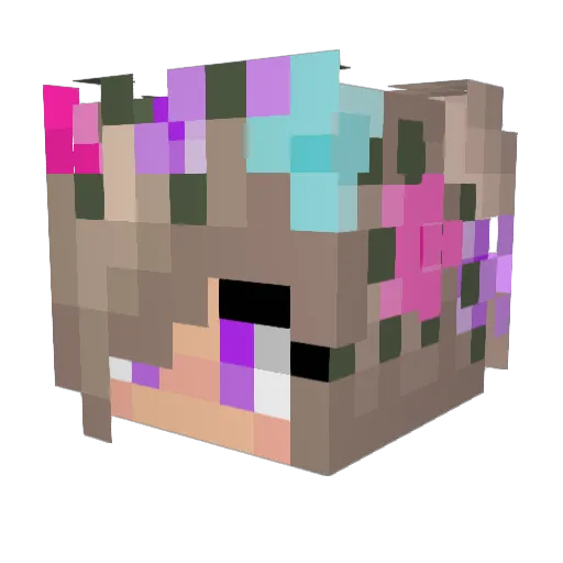Sammybug6 Minecraft avatar head, 3D render
