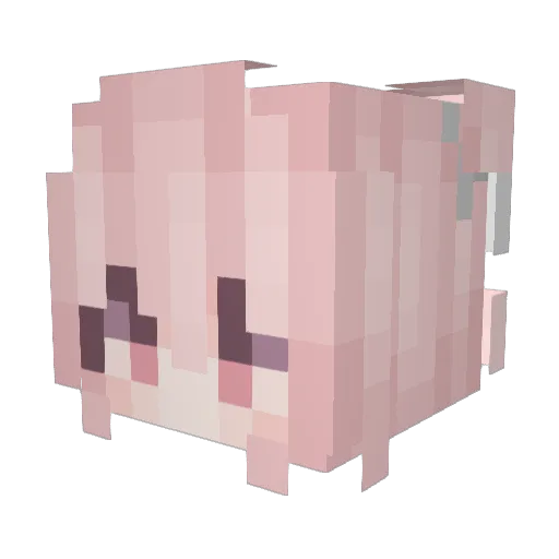 Sammycc Minecraft avatar head, 3D render
