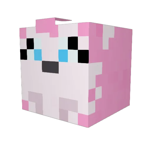 Sammycinna Minecraft avatar head, 3D render