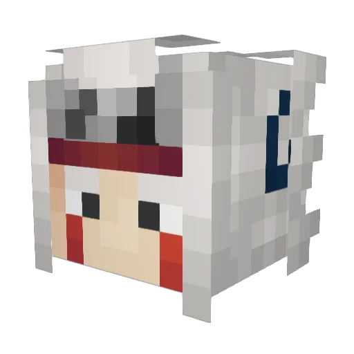 Sammyd369 Minecraft avatar head, 3D render