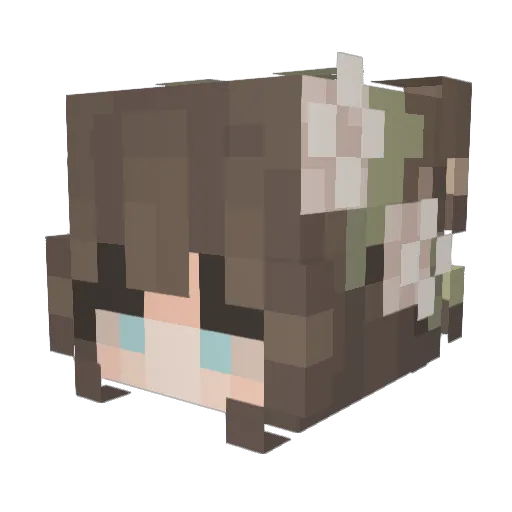 Sammykins06 Minecraft avatar head, 3D render