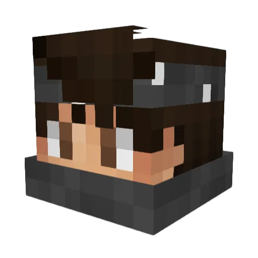 Sammyx2000 Minecraft avatar head, 3D render