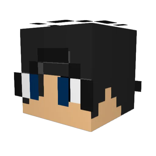 Sammyyy101 Minecraft avatar head, 3D render