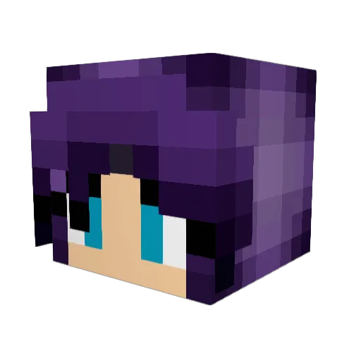 Samnater123 Minecraft avatar head, 3D render