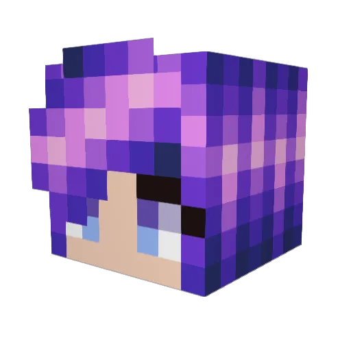 Samnation1 Minecraft avatar head, 3D render