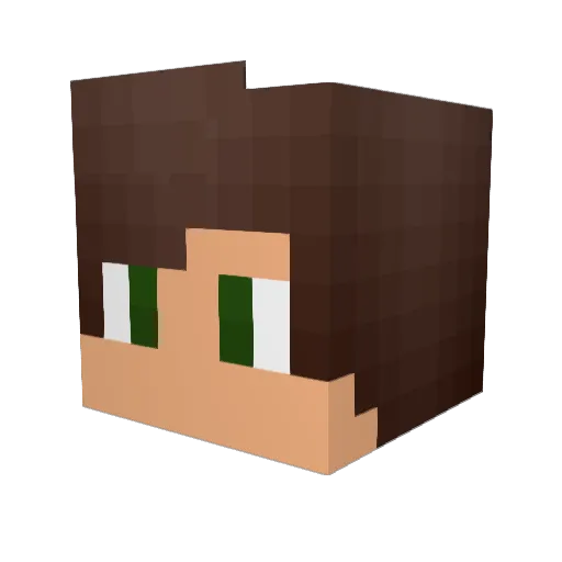 Samninja8 Minecraft avatar head, 3D render