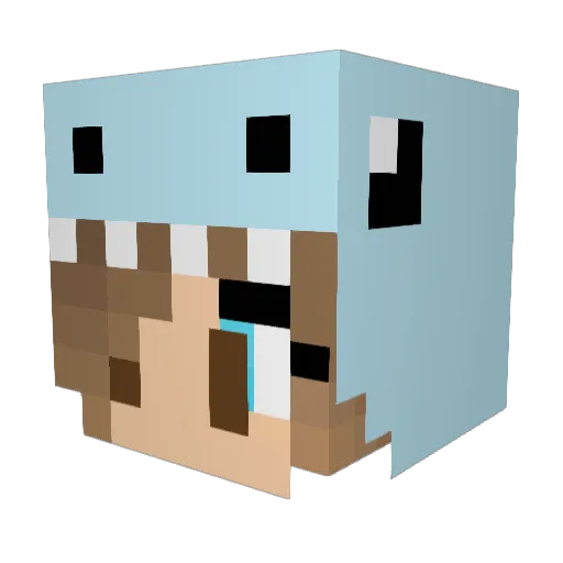 SamoJT Minecraft avatar head, 3D render