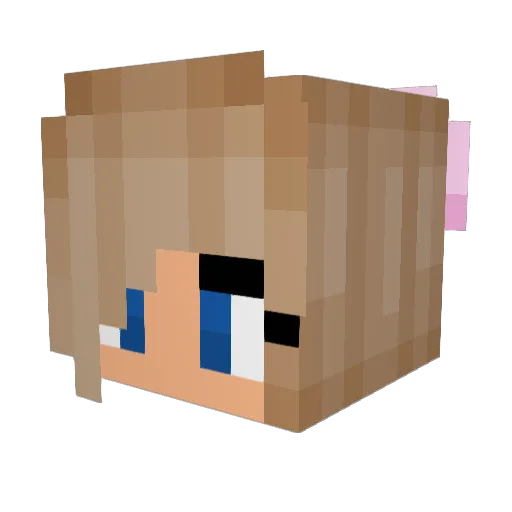 Samochod Minecraft avatar head, 3D render