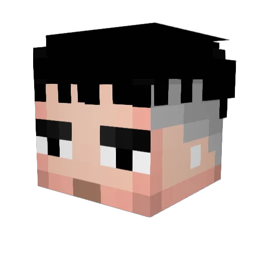 Samolo10 Minecraft avatar head, 3D render