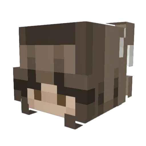 Samopanda Minecraft avatar head, 3D render
