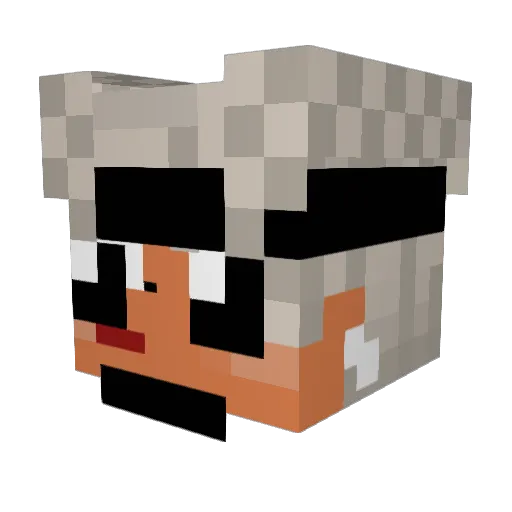 SamosaBhai Minecraft avatar head, 3D render
