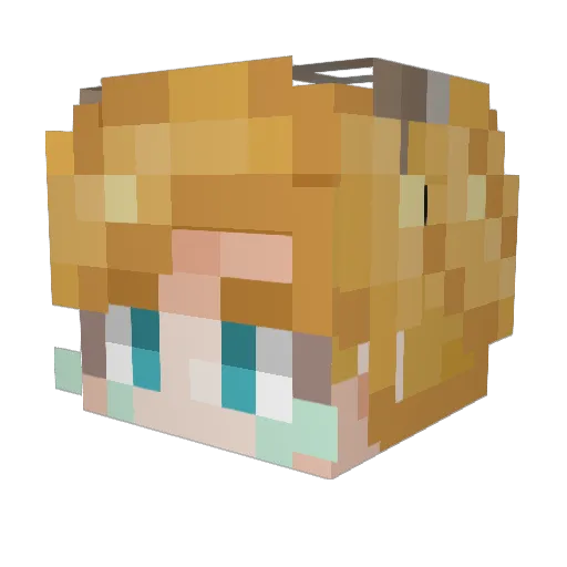 Samot2852 Minecraft avatar head, 3D render